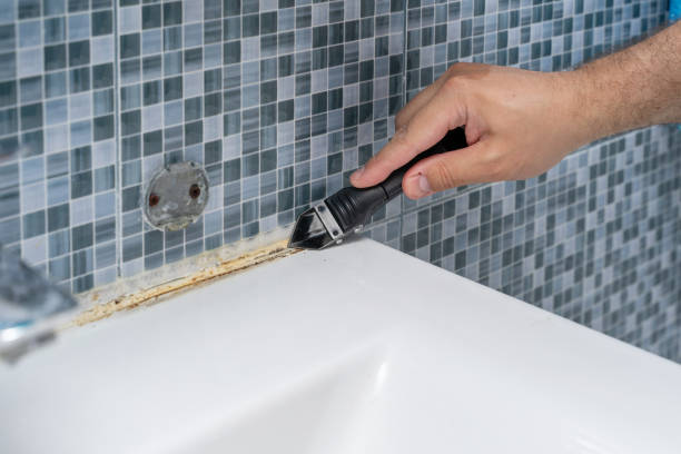 Best Commercial Mold Removal  in Pomona, NJ